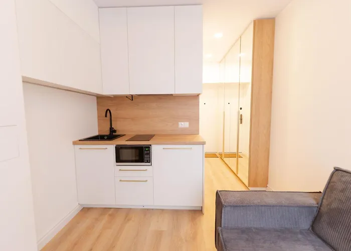 New Modern And Cozy Studio Apartment In The Old Town Vilnius